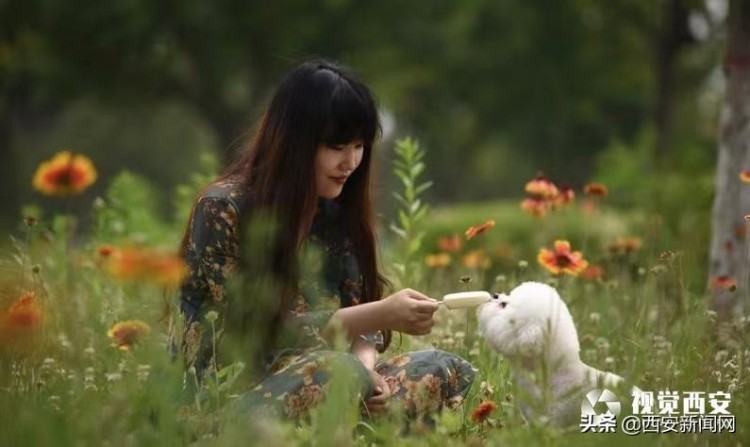 宠物身后事成消费市场新需求专家：合理引导消费增设监管部门