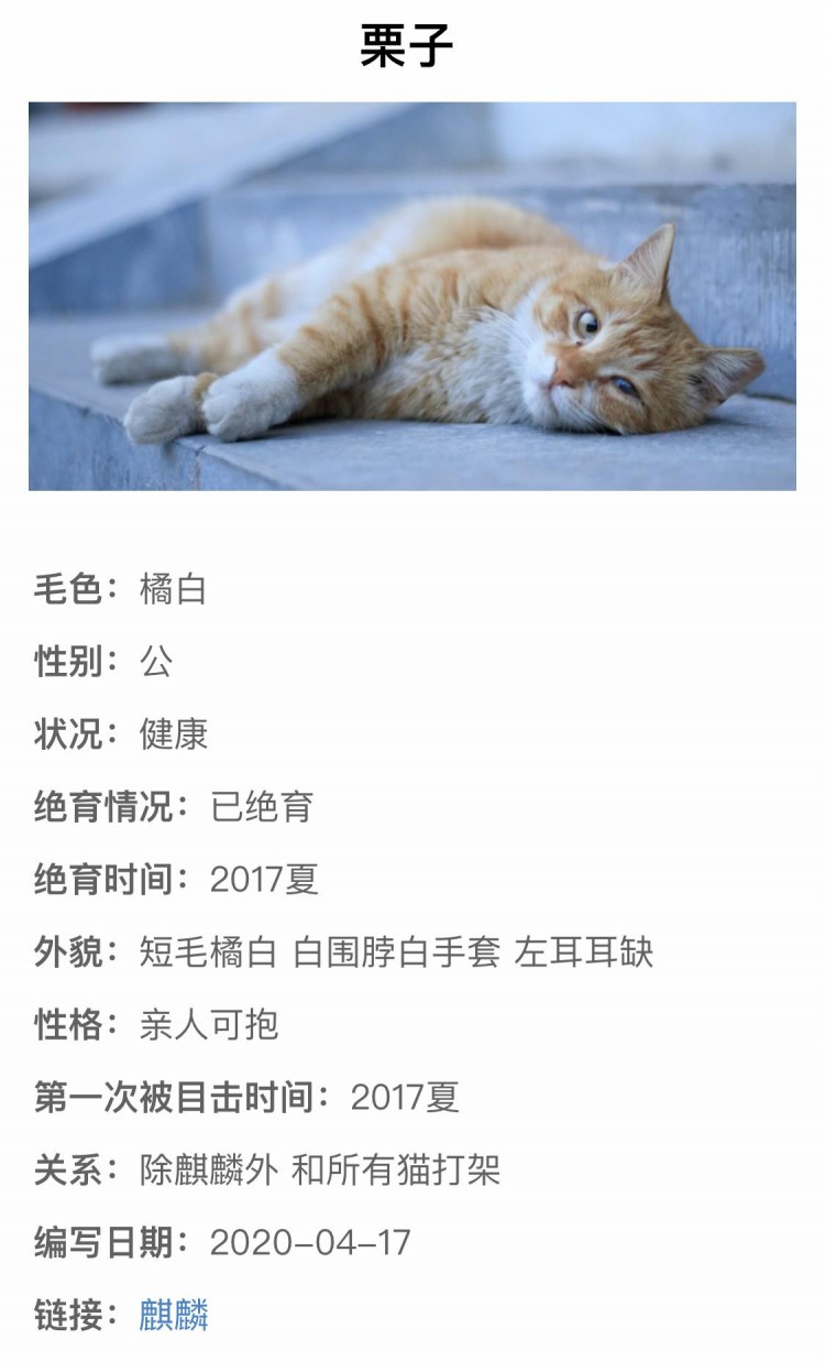 北大的流浪猫都有学籍猫咪之间的三角恋都被写得清清楚楚