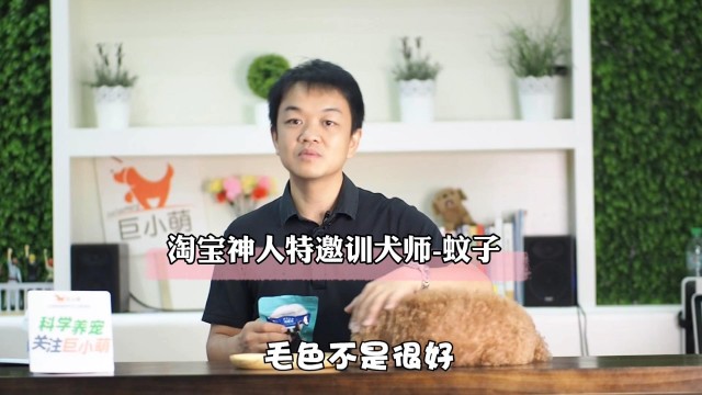 狗狗挑食不爱吃狗粮？这颗蛋专治挑食狗